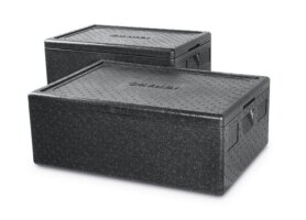 Thermotransport
