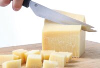 Käsemesser für Hartkäse Edelstahl mit PP...