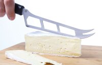 Käsemesser für Weichkäse PP Edelstahl Klinge 160 mm
