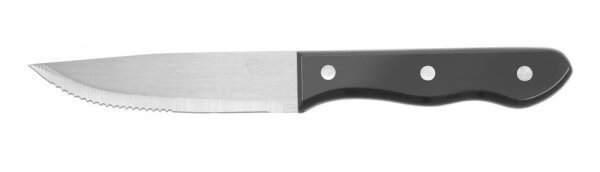 Steak-Messer XL 250 mm Edelstahl mit ABS Griff