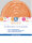 Duftendes Urinalsieb - Grapefruit - Dr. Becher