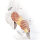 Einwegspritzbeutel 80my klar, 590x280mm Polyethylen, 100 St./Karton