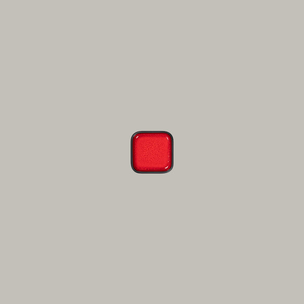 FRFTSFP08R