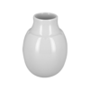 ANFV01.png