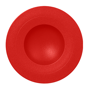 NFGDDP29BR.png
