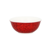 RBNNBW09.png