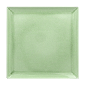 VNEDSQ30GR.png