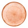 WDNNPR29CO.png