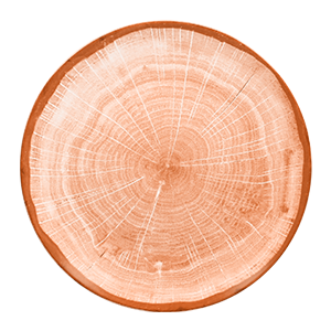 WDNNPR29CO.png